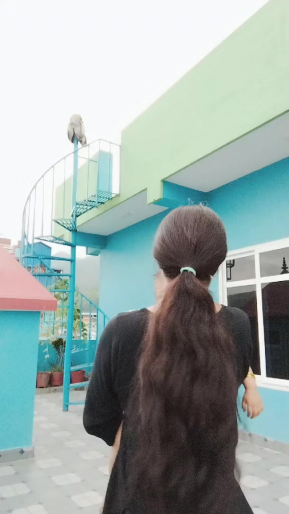 @nishagurung735