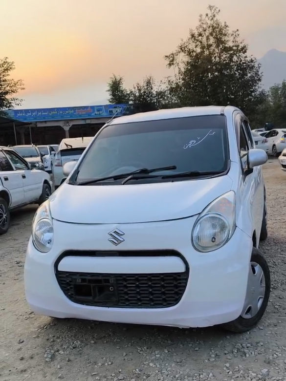 @ncpcarlover1