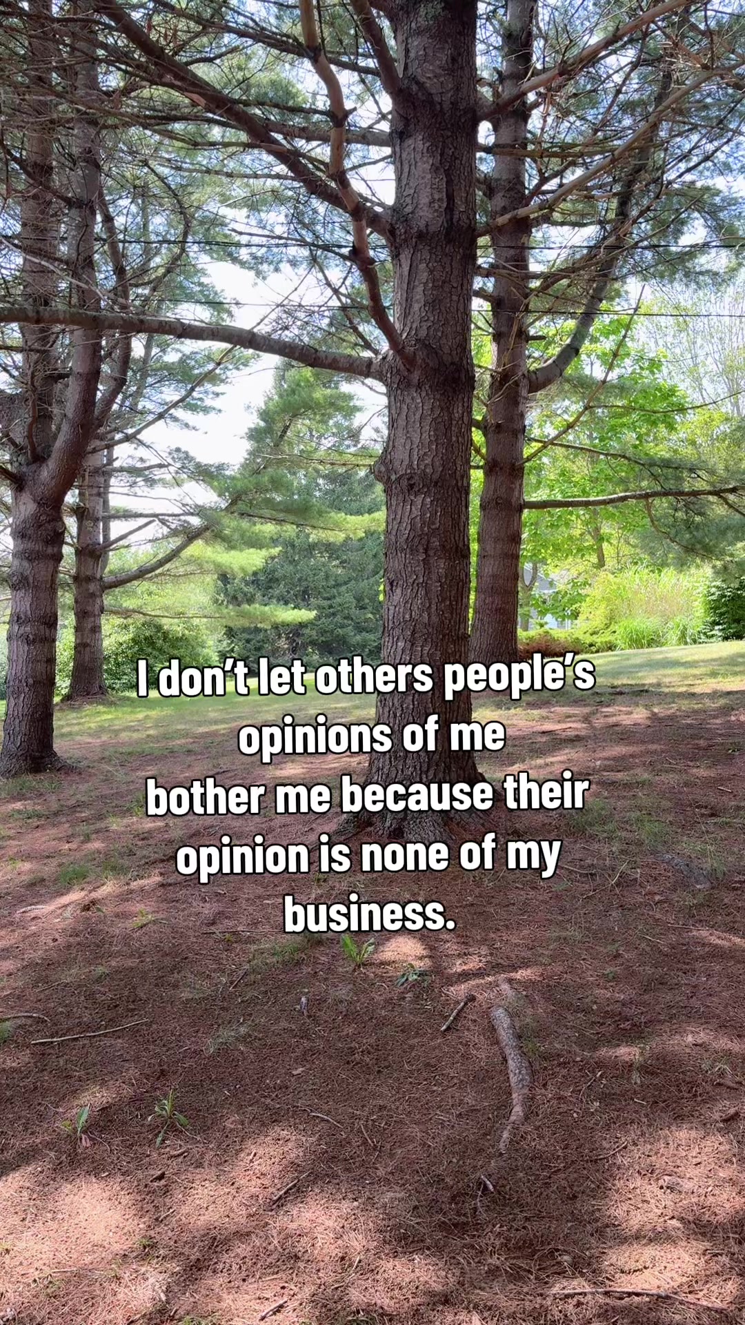 @Scotianmotion