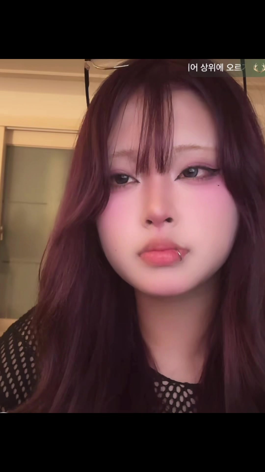 @배율 머리끈ෆ