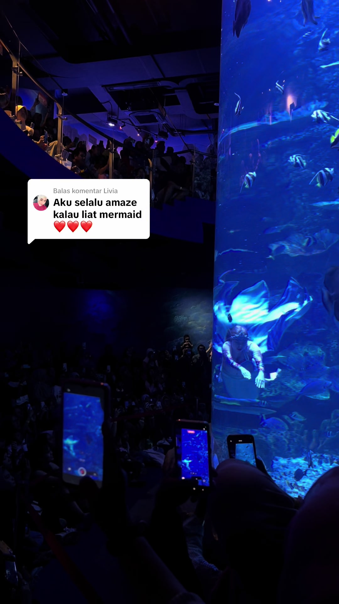 @Mermaid Cryztal