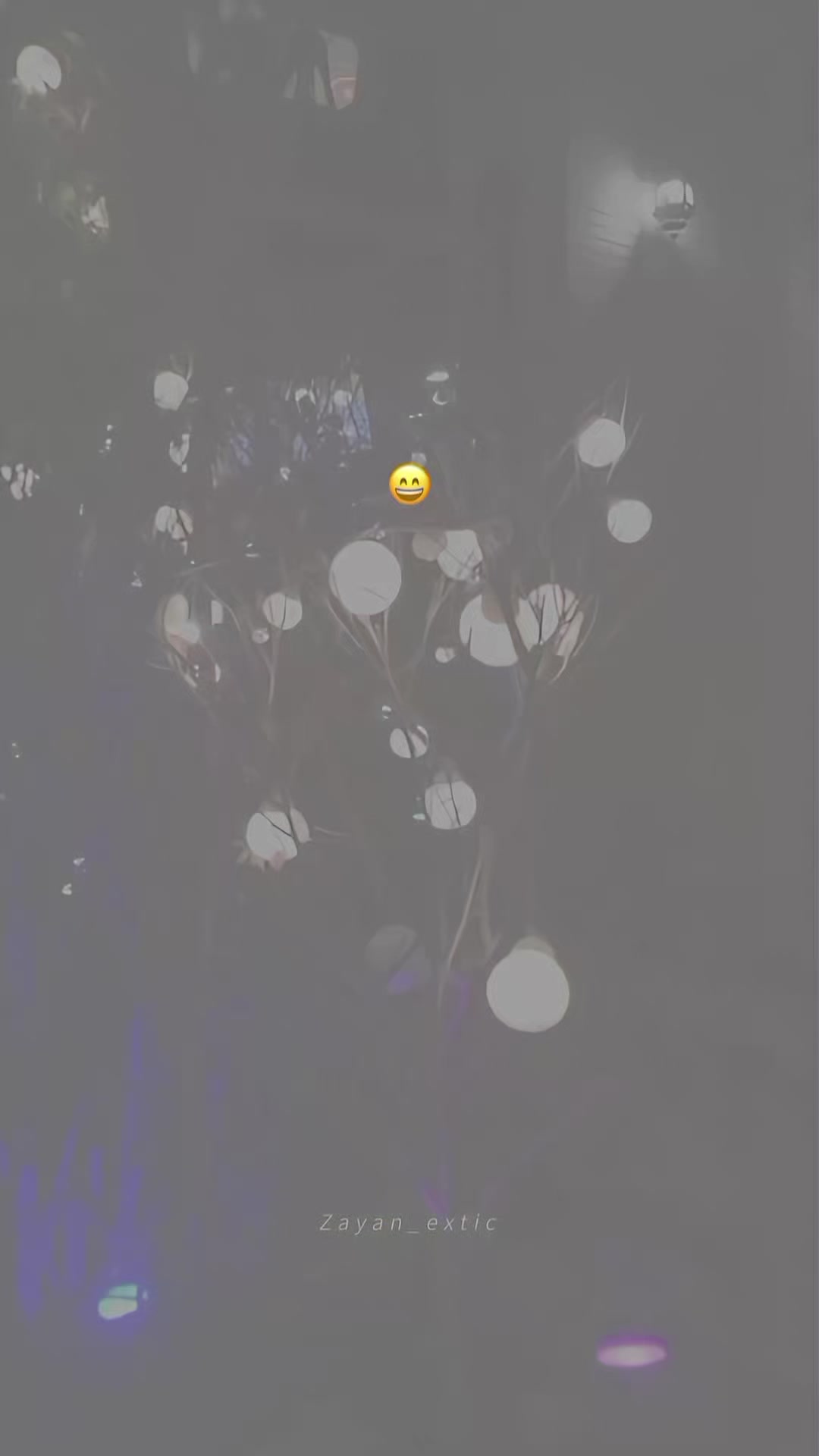 @Zayan_16🕊️