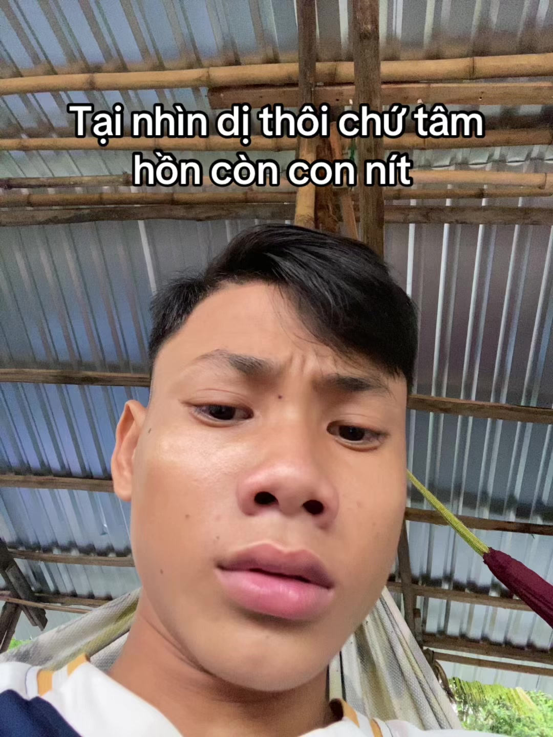 @banddz7