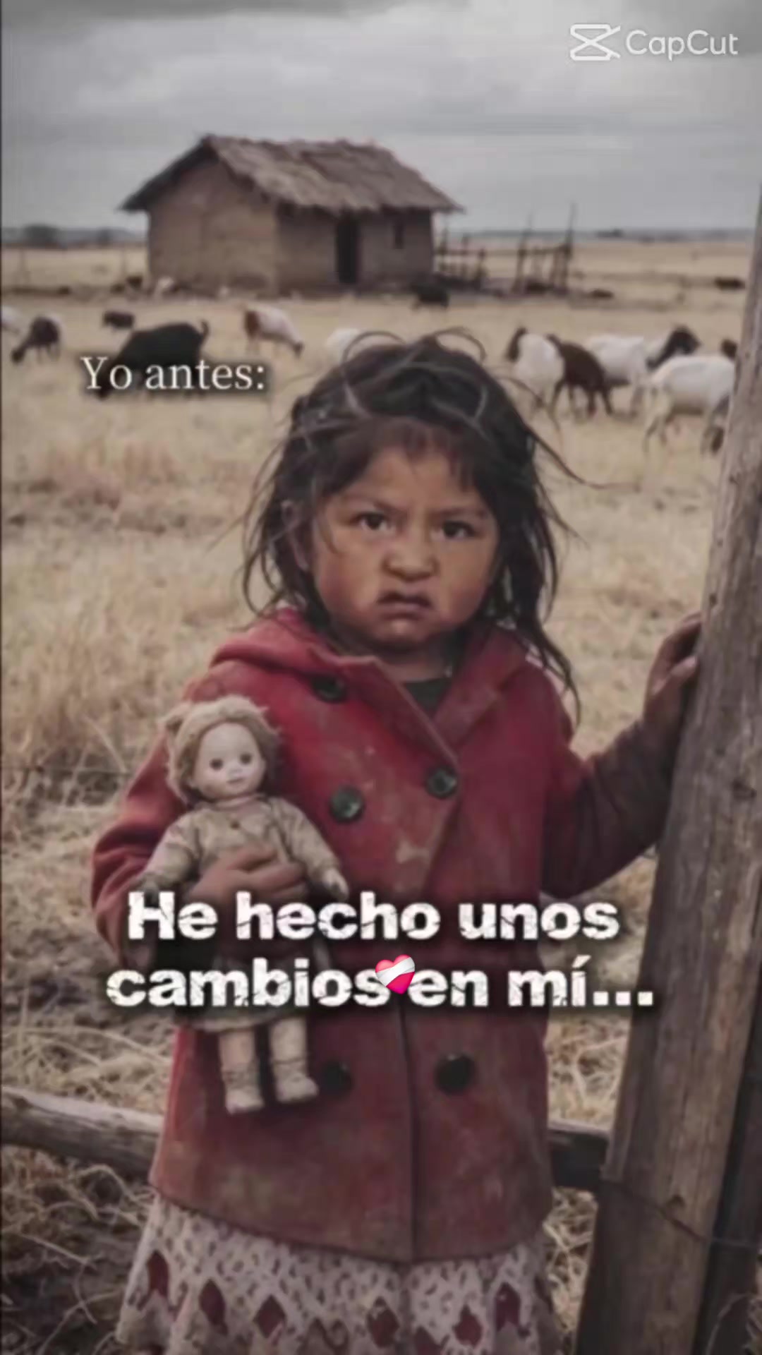 @Carolina Marcial