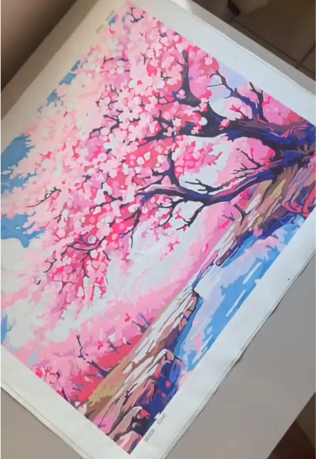 @Malu | Pintura por n&uacute;meros 🎨