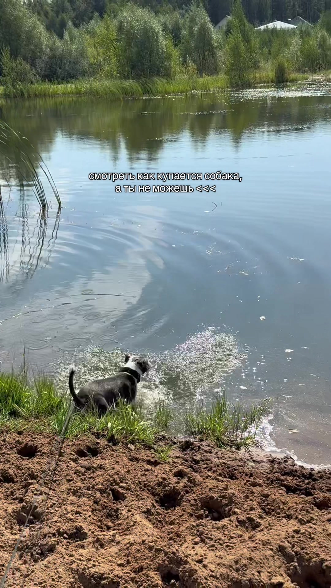 @тгк: АСТ Афина