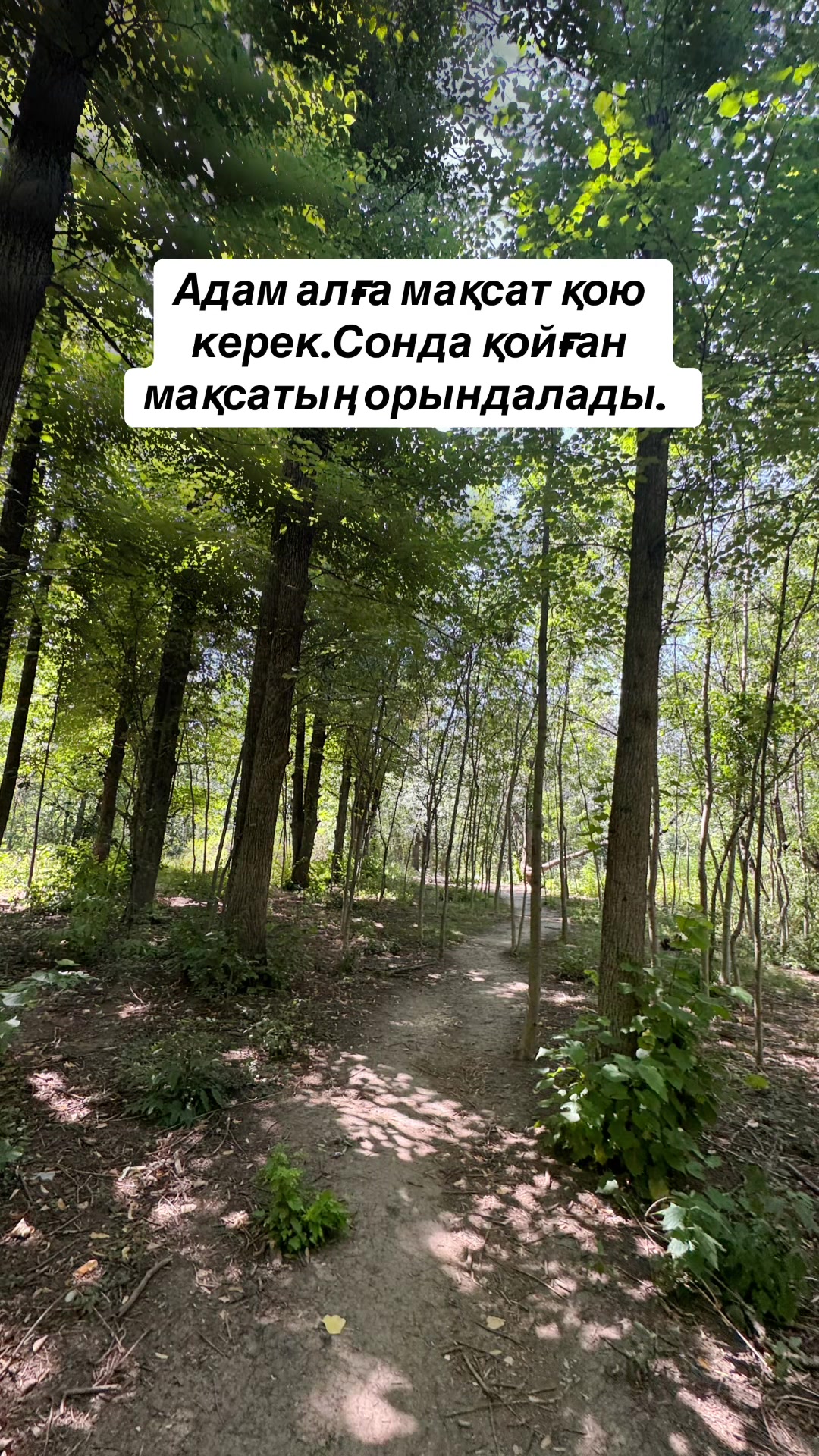 @Р.И.М