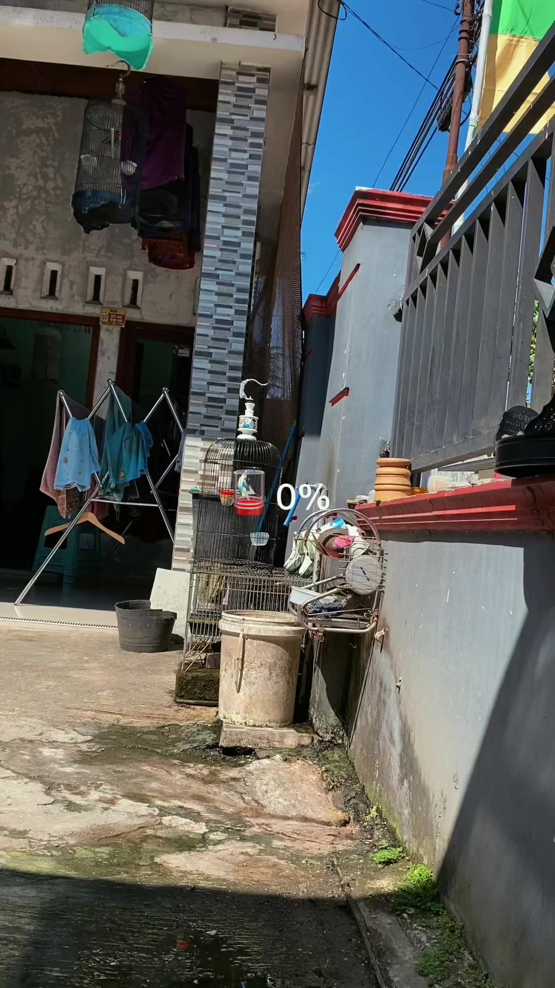 @Congyang_JUICE