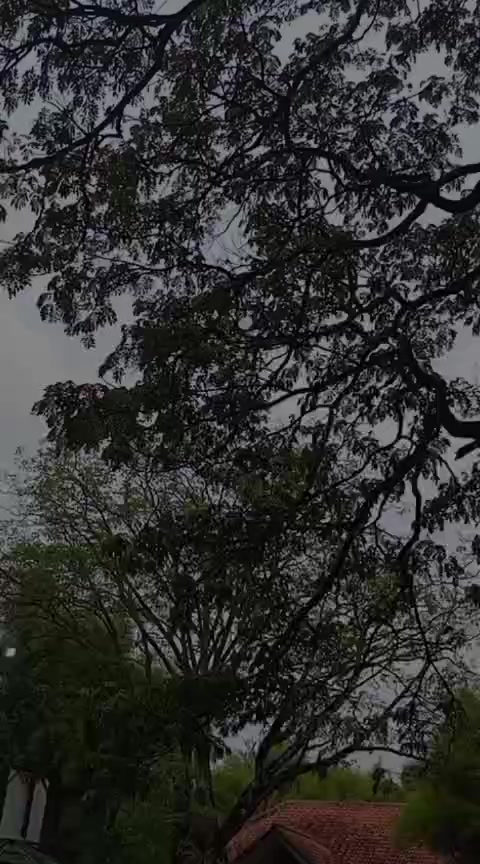 @Ichsan Solihudin