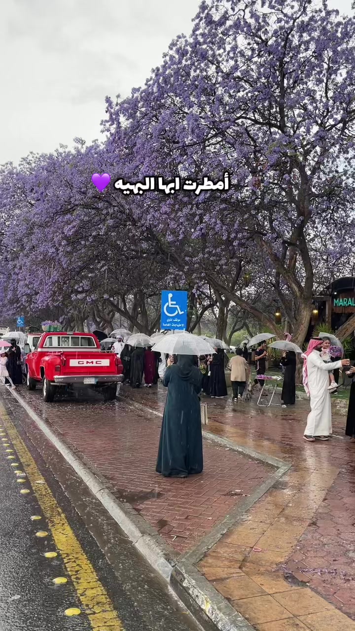 @مريـــــم الشهـــراني | أبها🏅