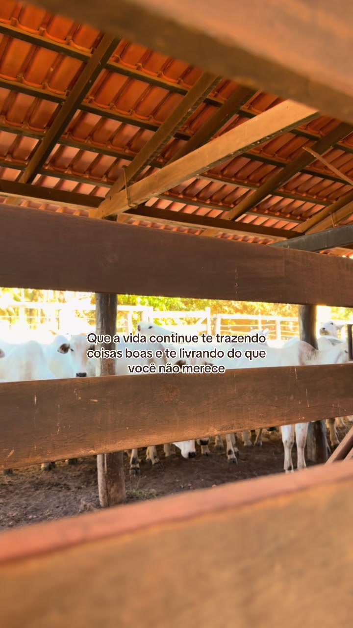 @Bia Rodrigues
