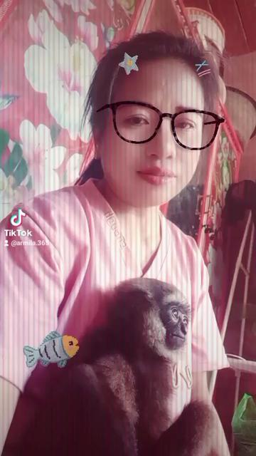 @๐ฎ๐ฉ ๐๐ซ๐ฆ๐ข๐ฅ๐ ๐๐๐โ
