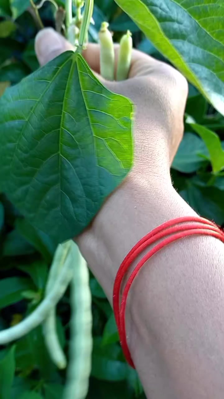 @ज्योति crafty