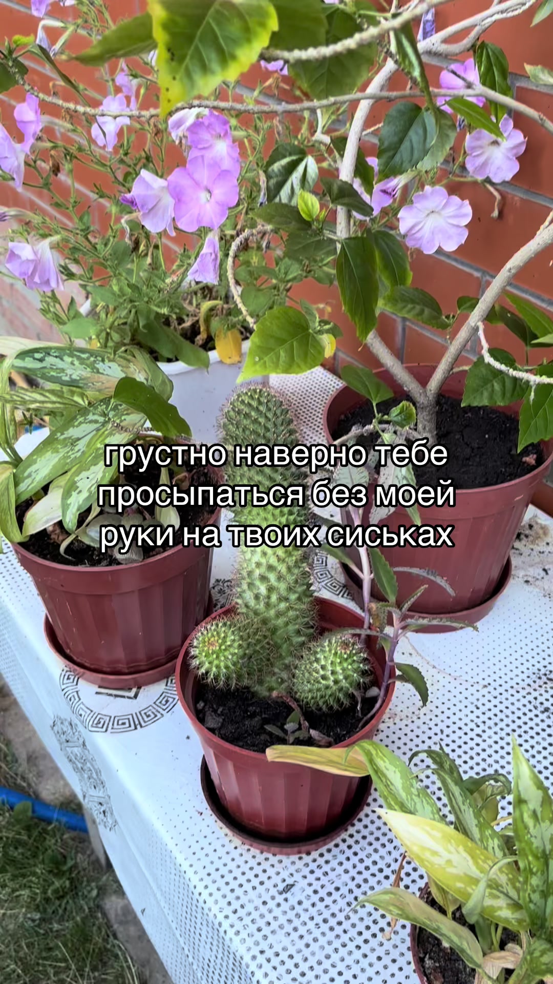 @KotLeopold193RUS