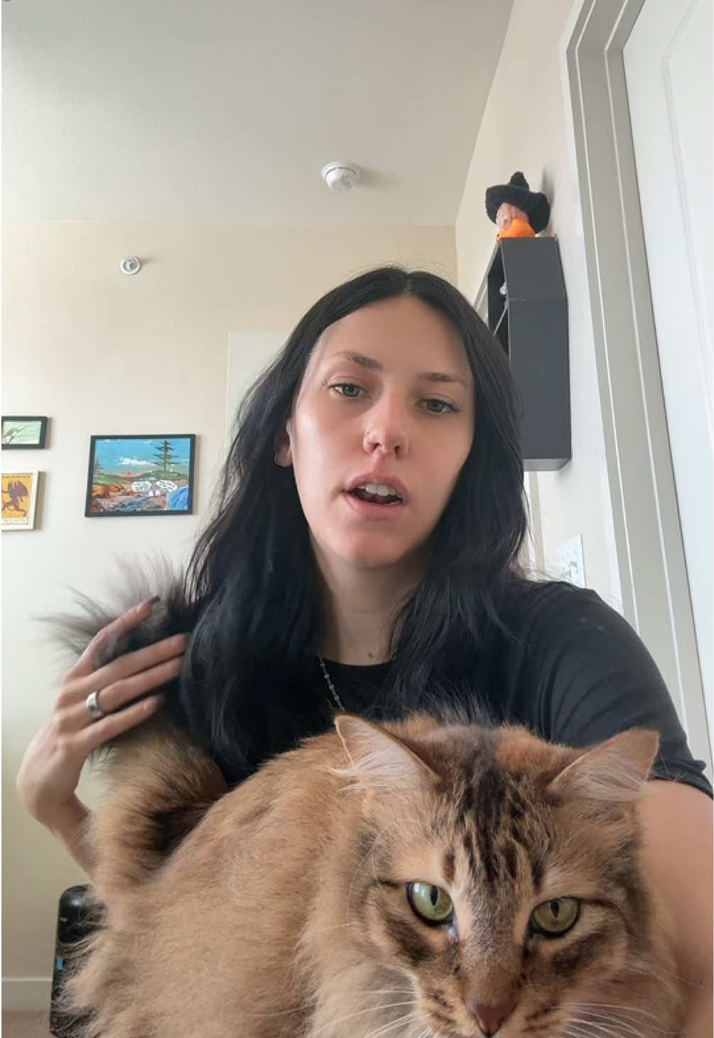 @Dani