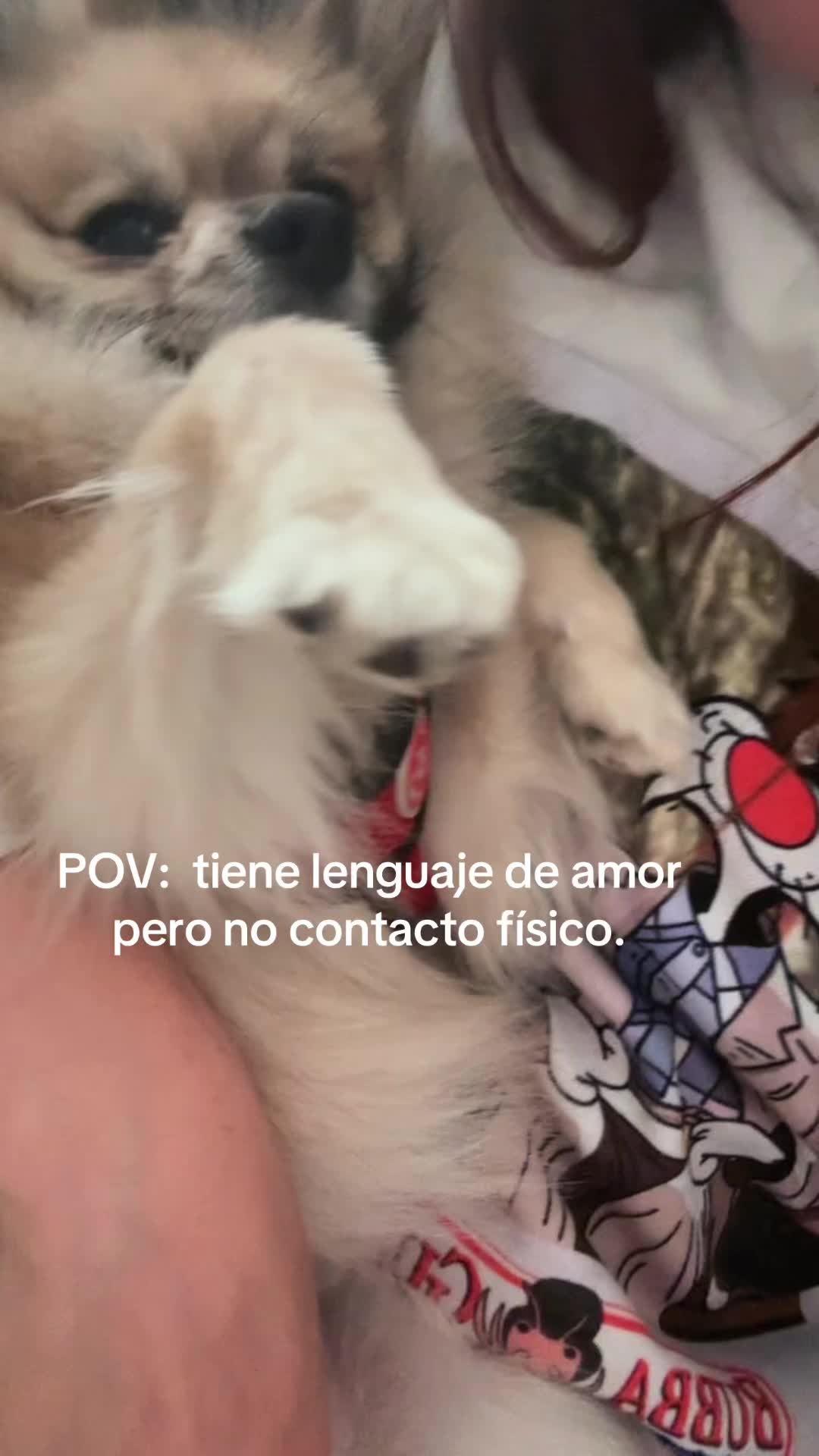 @stephcota25