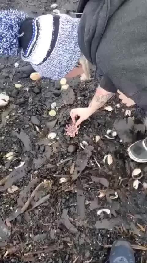 @lifeofjenn
