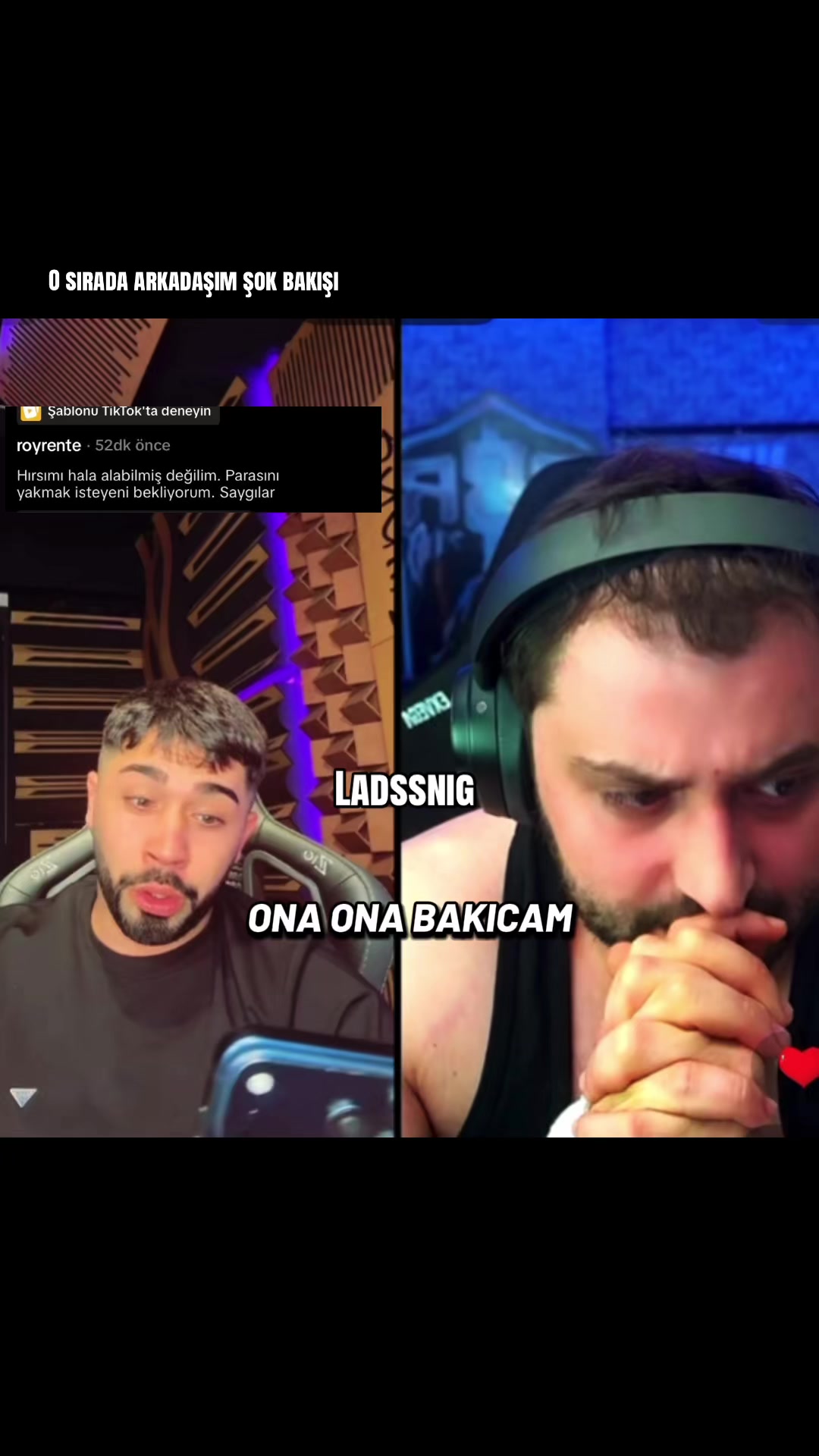 @ladssnig