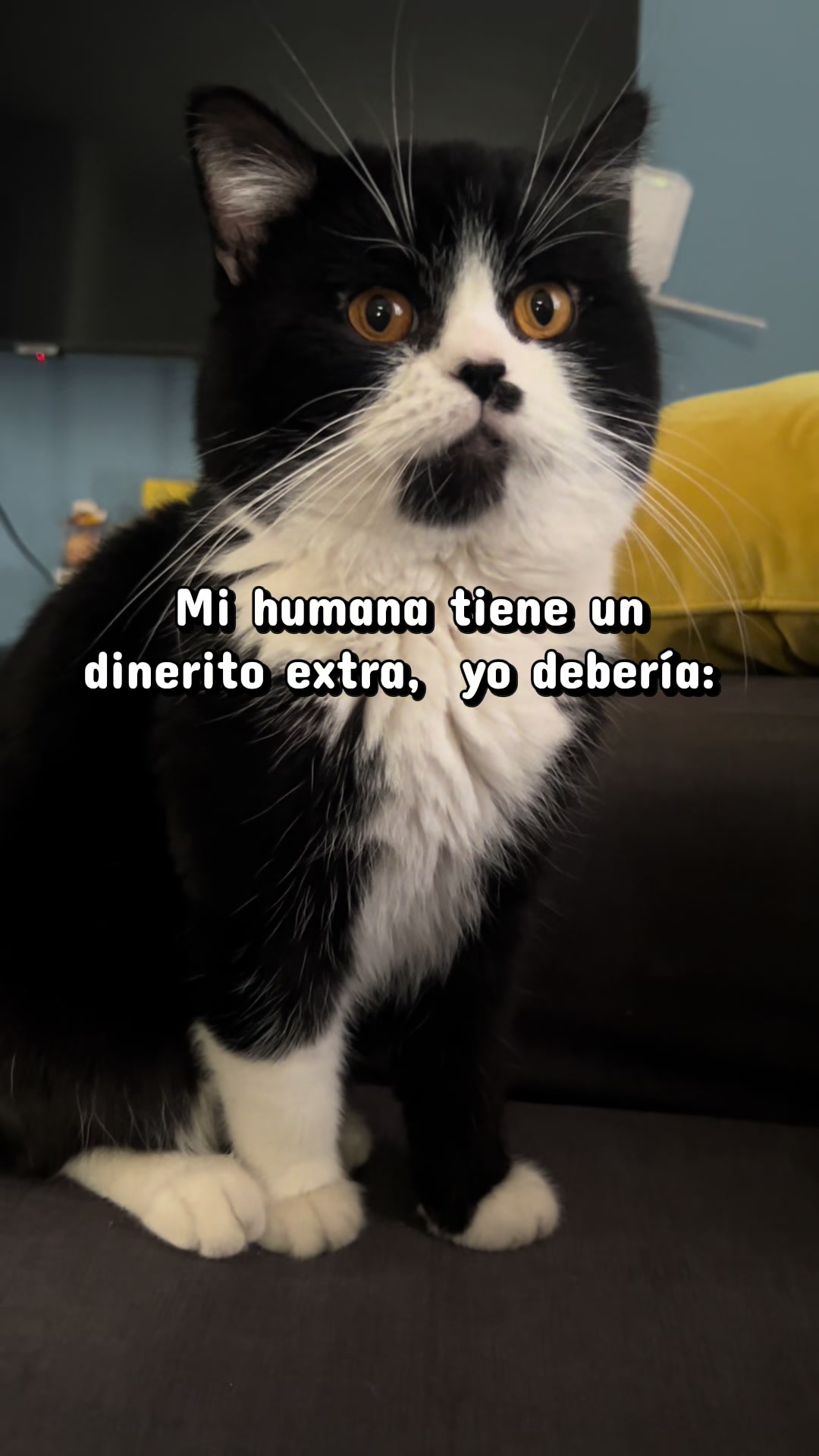 @Chat&Oro