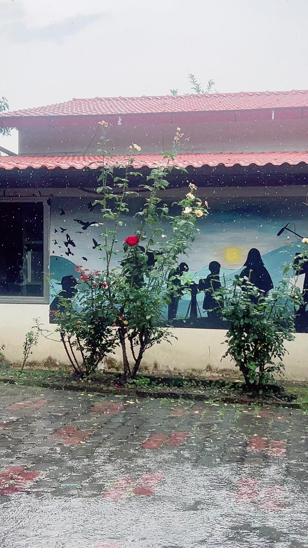 @nitulama7