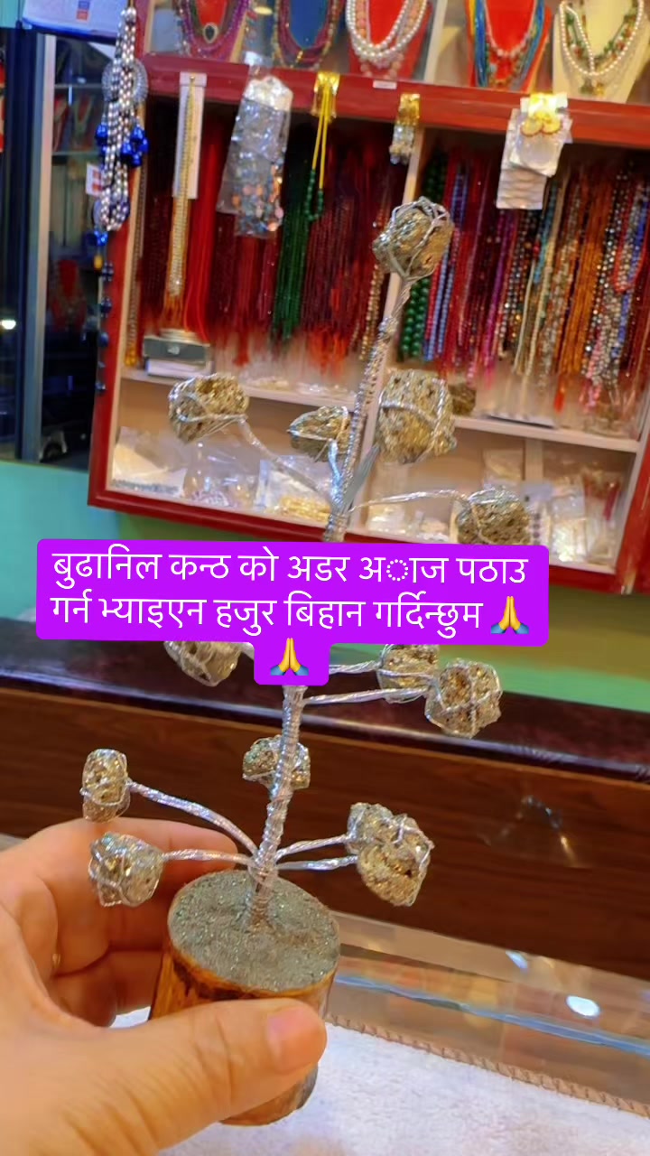 @ЁЯз┐Divya thakuri ЁЯз┐(рдбрд┐рдЬрд╛рдЗрдирд░)ЁЯз┐