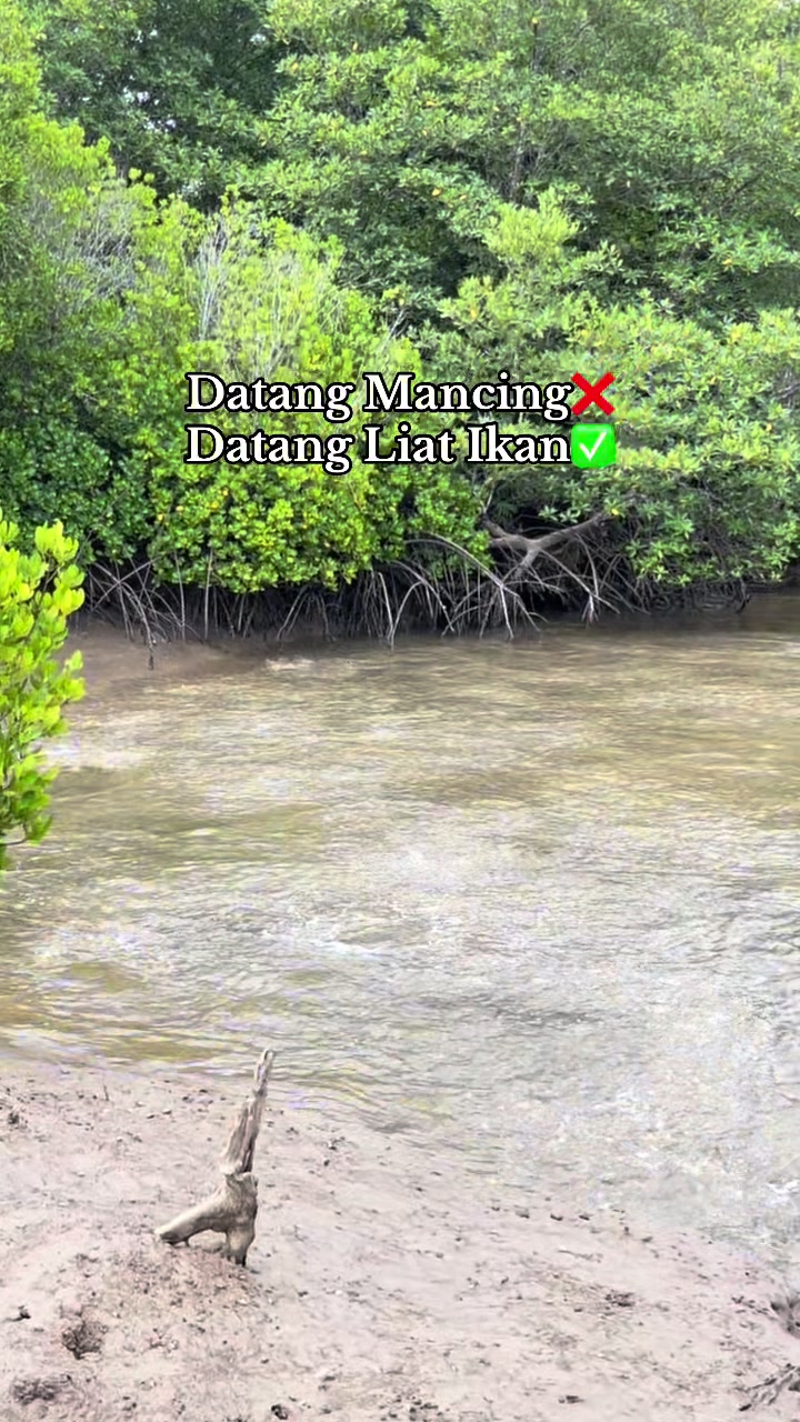 @𝘾𝙞𝙡𝙪𝙗_𝘽𝙖☑️