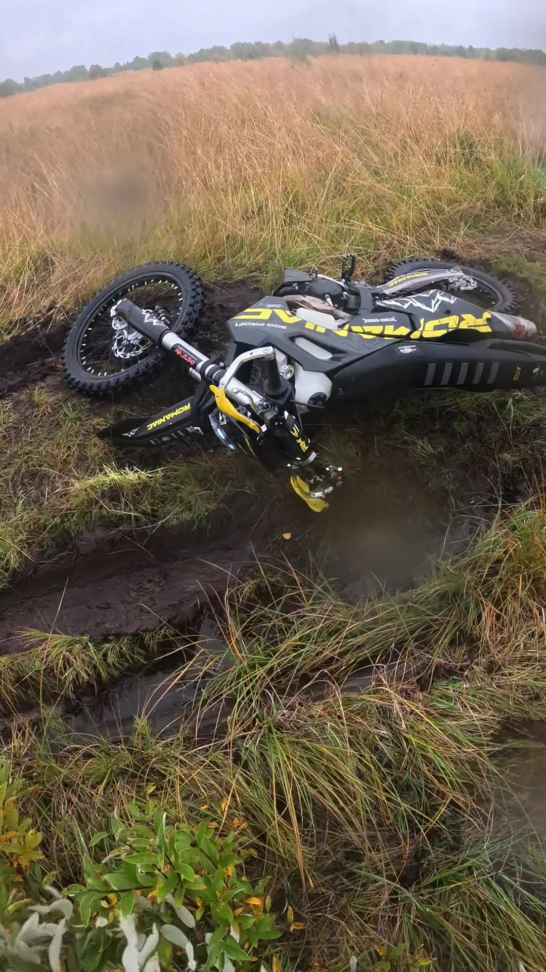 @✭𝐄𝐊𝐀𝐓𝐄𝐑𝐈𝐍𝐀 𝟕𝟕𝟏✭