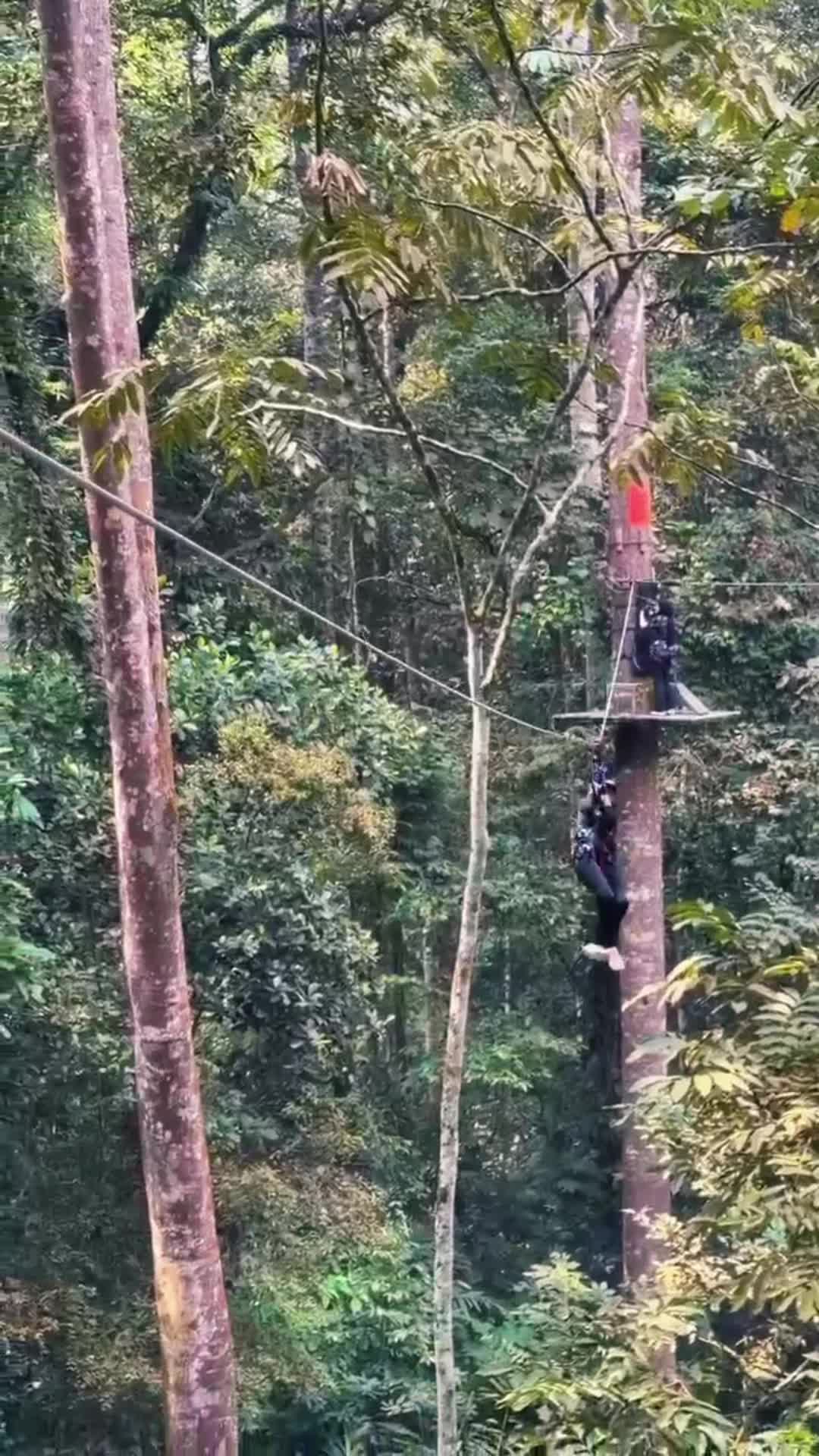 @Camé