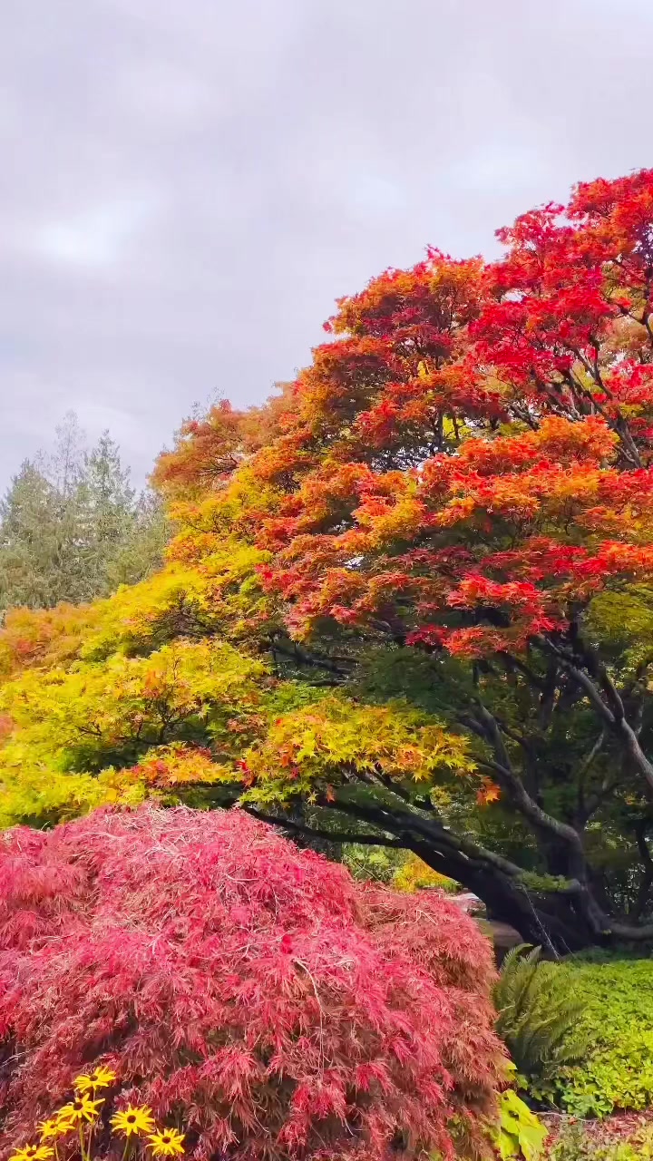@Beautiful Canada 🍁