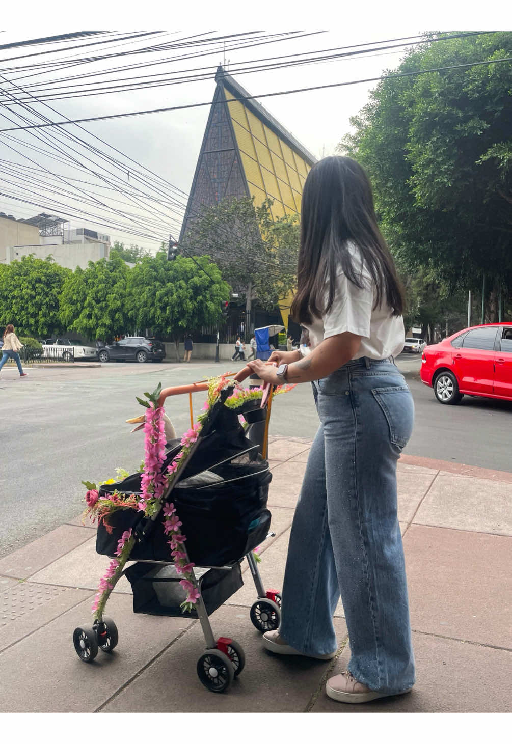 @berenice.corona