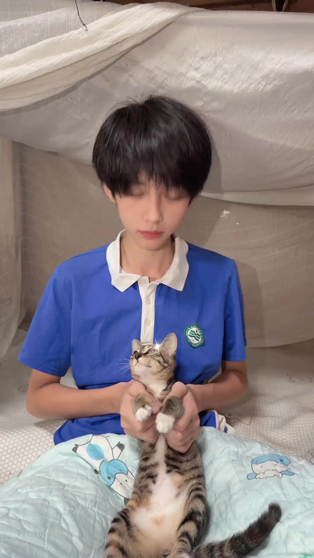 @TF家族 &bull; 第四代