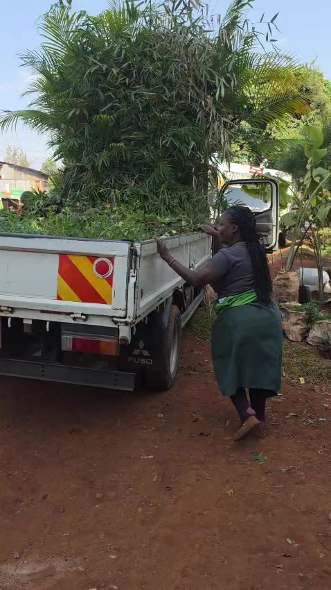 @Gladys njoronge