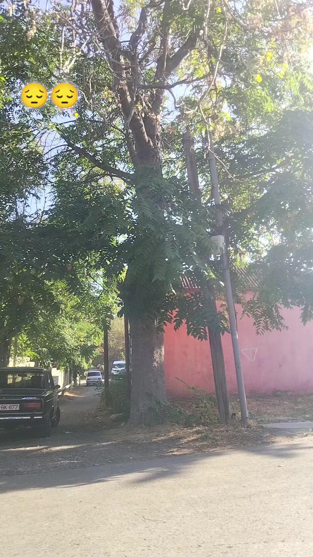 @𝓢🪡🤍27🍁