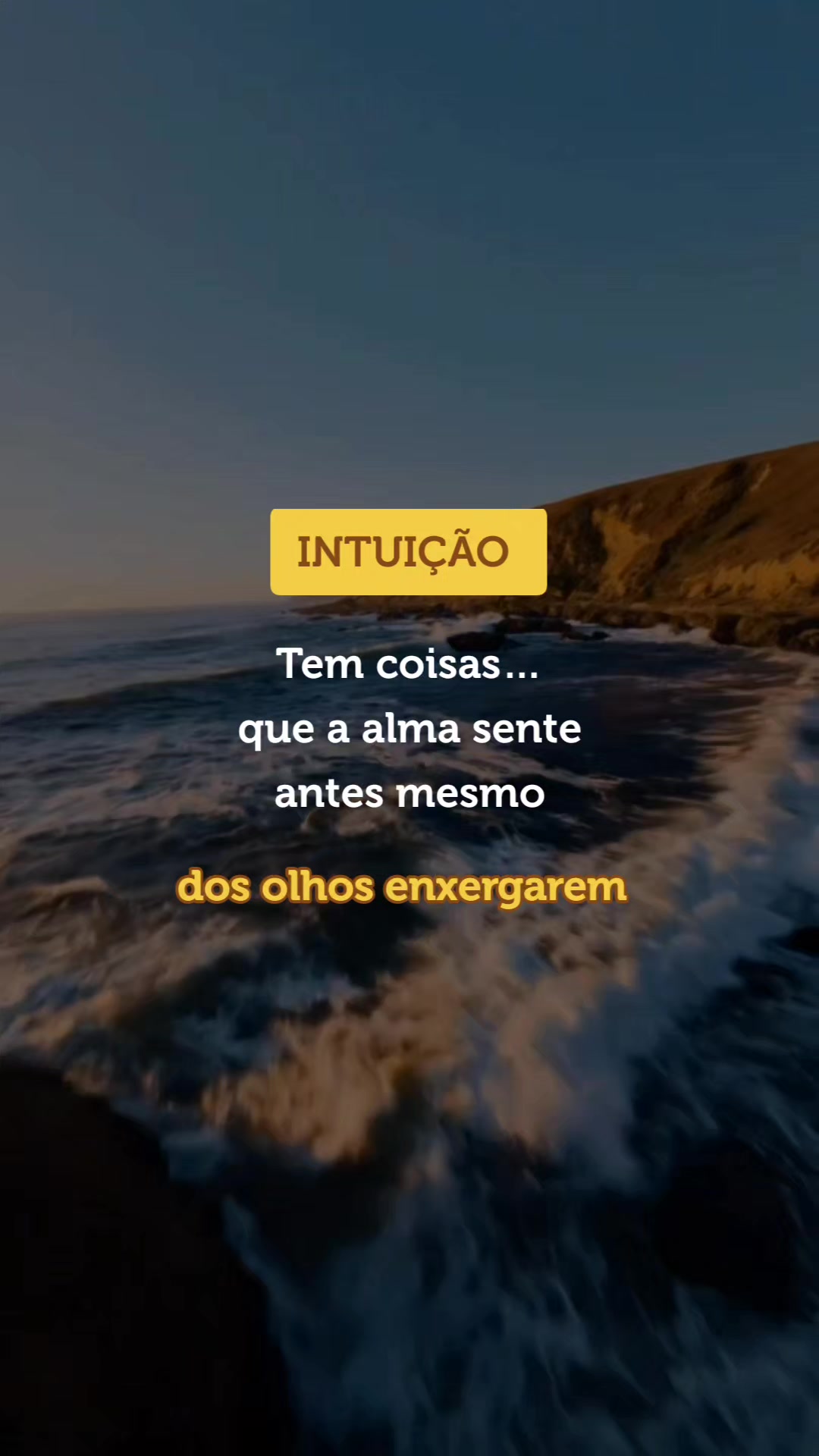 @vida em frases
