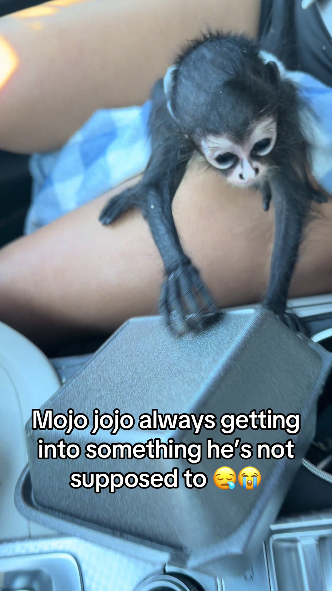 @OJTV & Mojo Jojo🧡