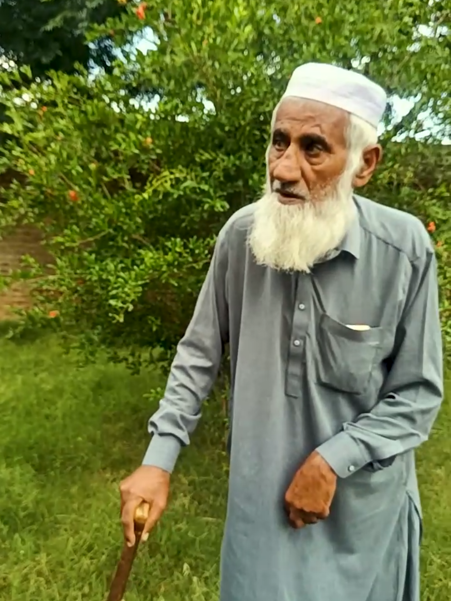 @Nayab Jani