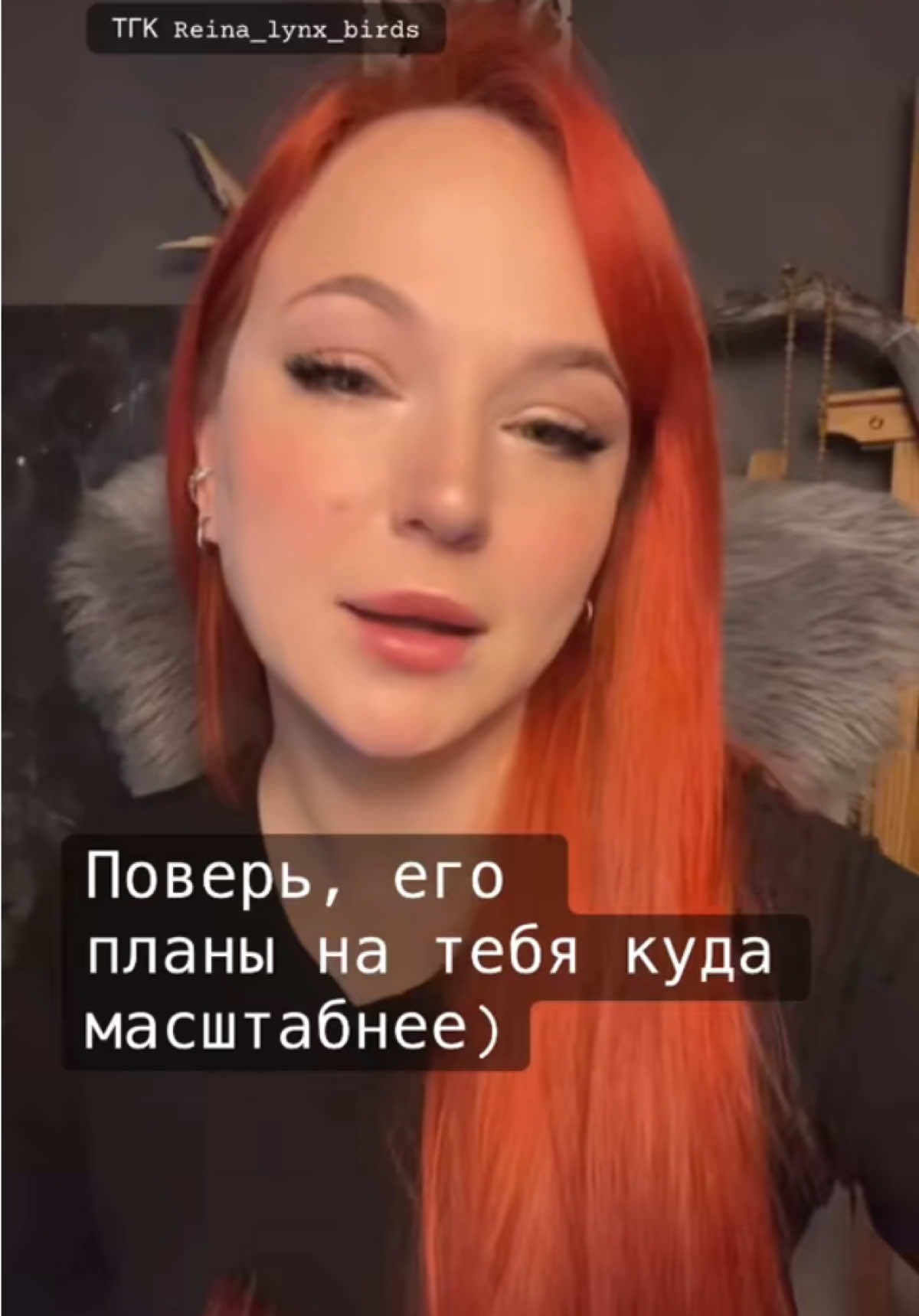 @Reina_lynx
