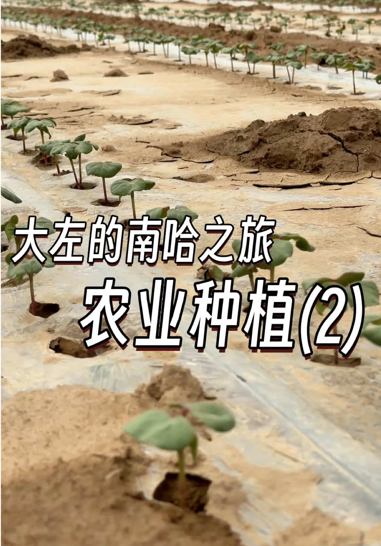 @大小左在哈萨克斯坦