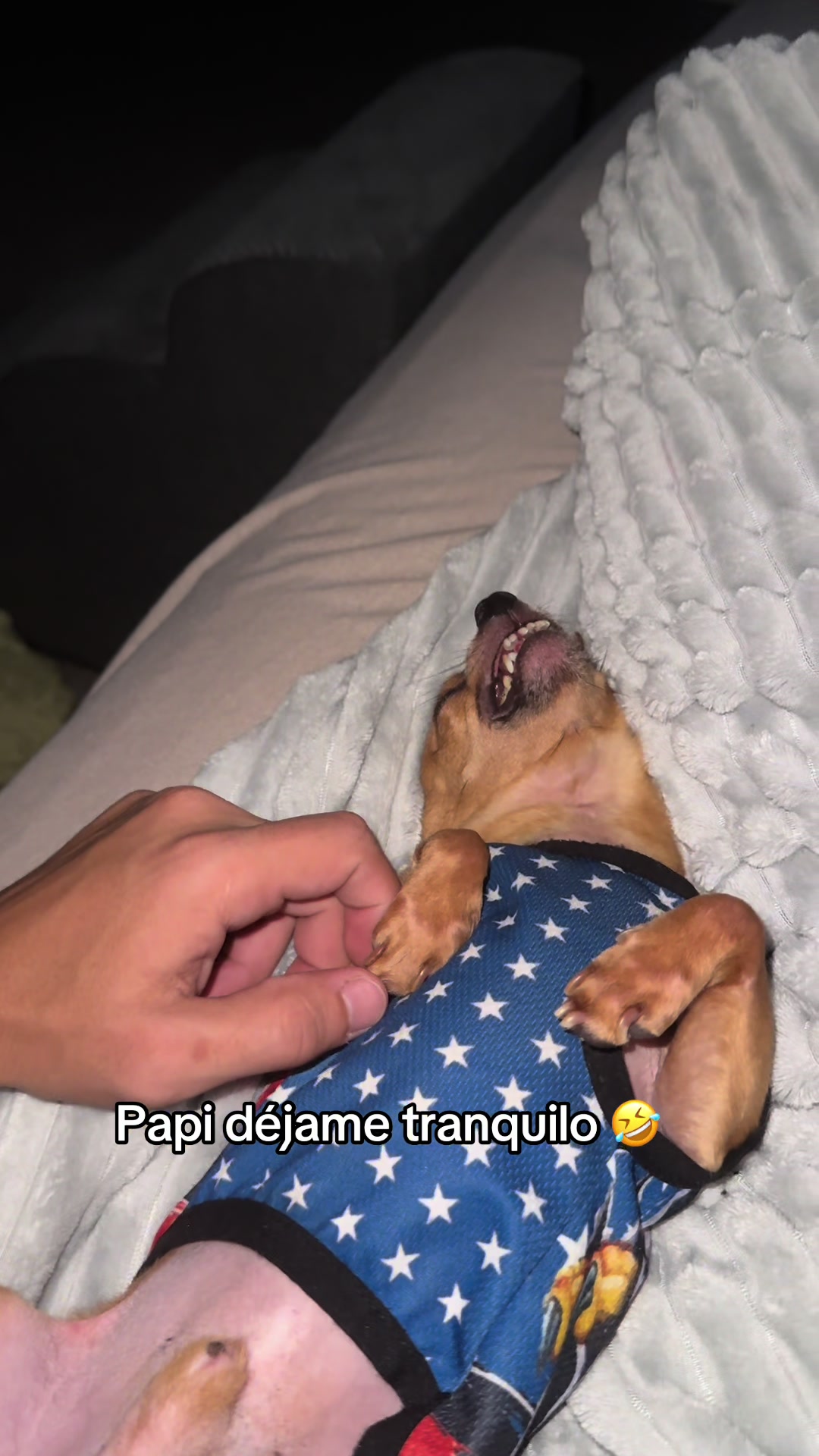 @Gloria Hernandez