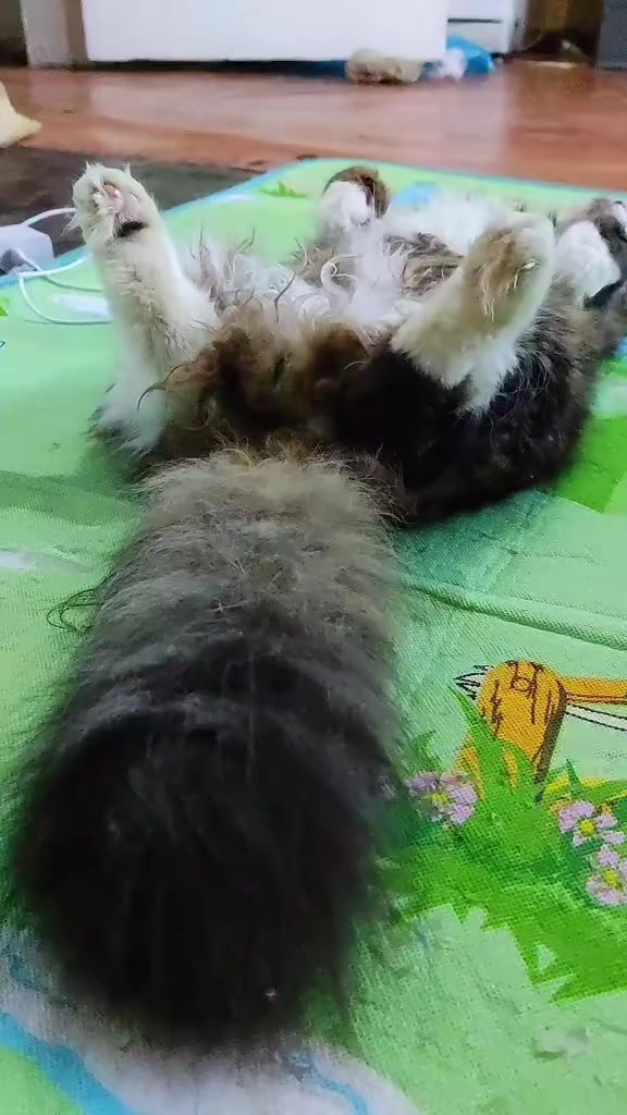 @Харли Квинн