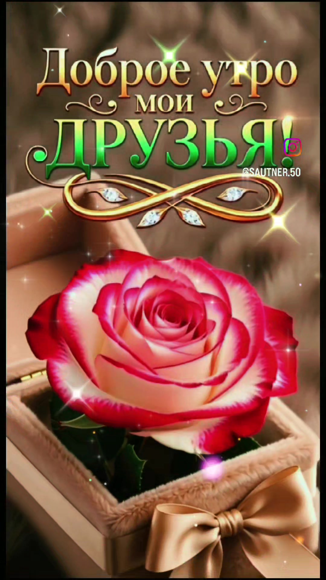 @🌼Ромашки для Наташки🌼