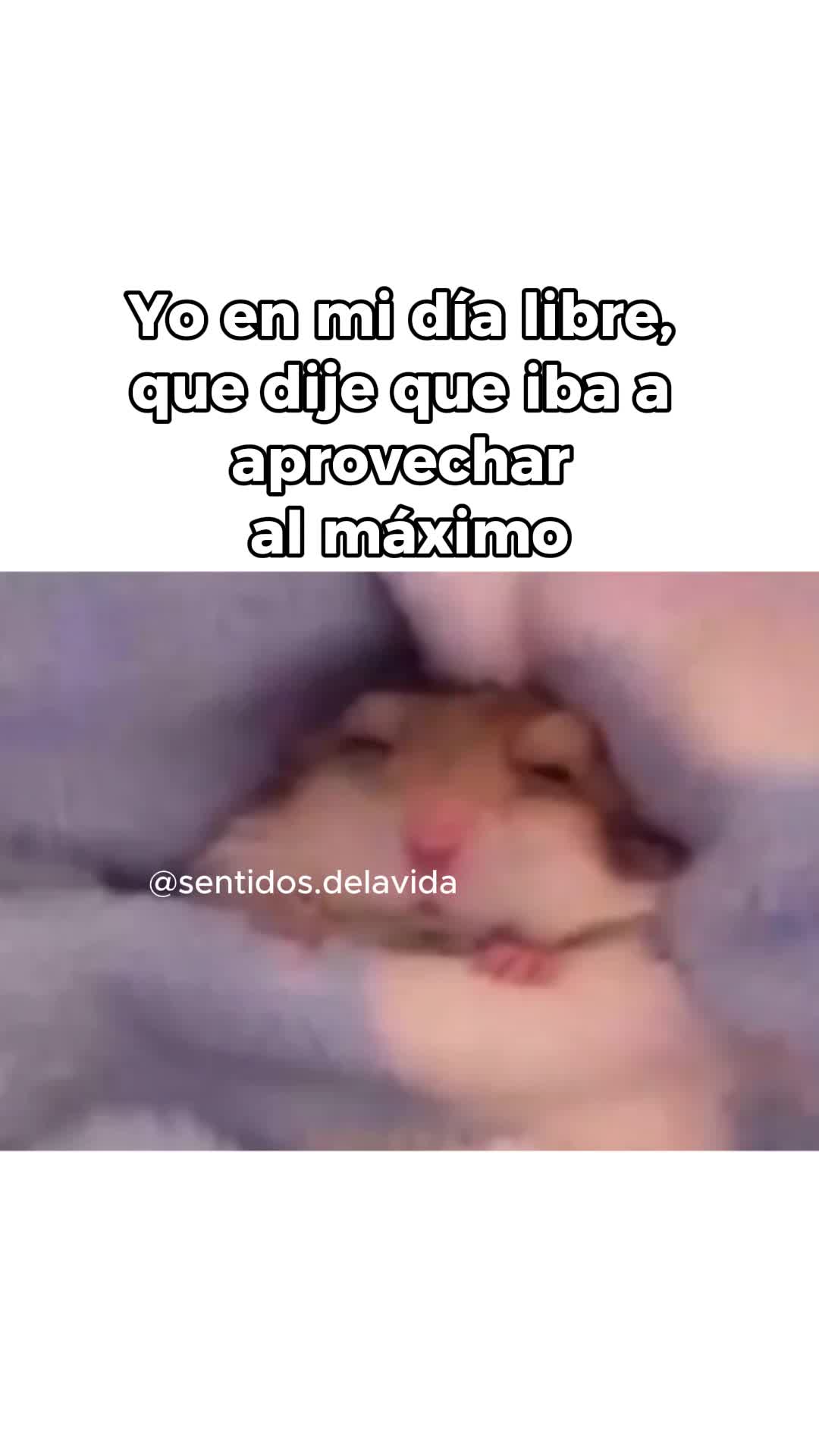 @Sentidos de la Vida