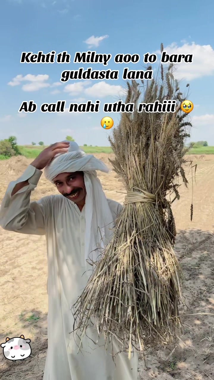 @Mohsin Ali Hassan
