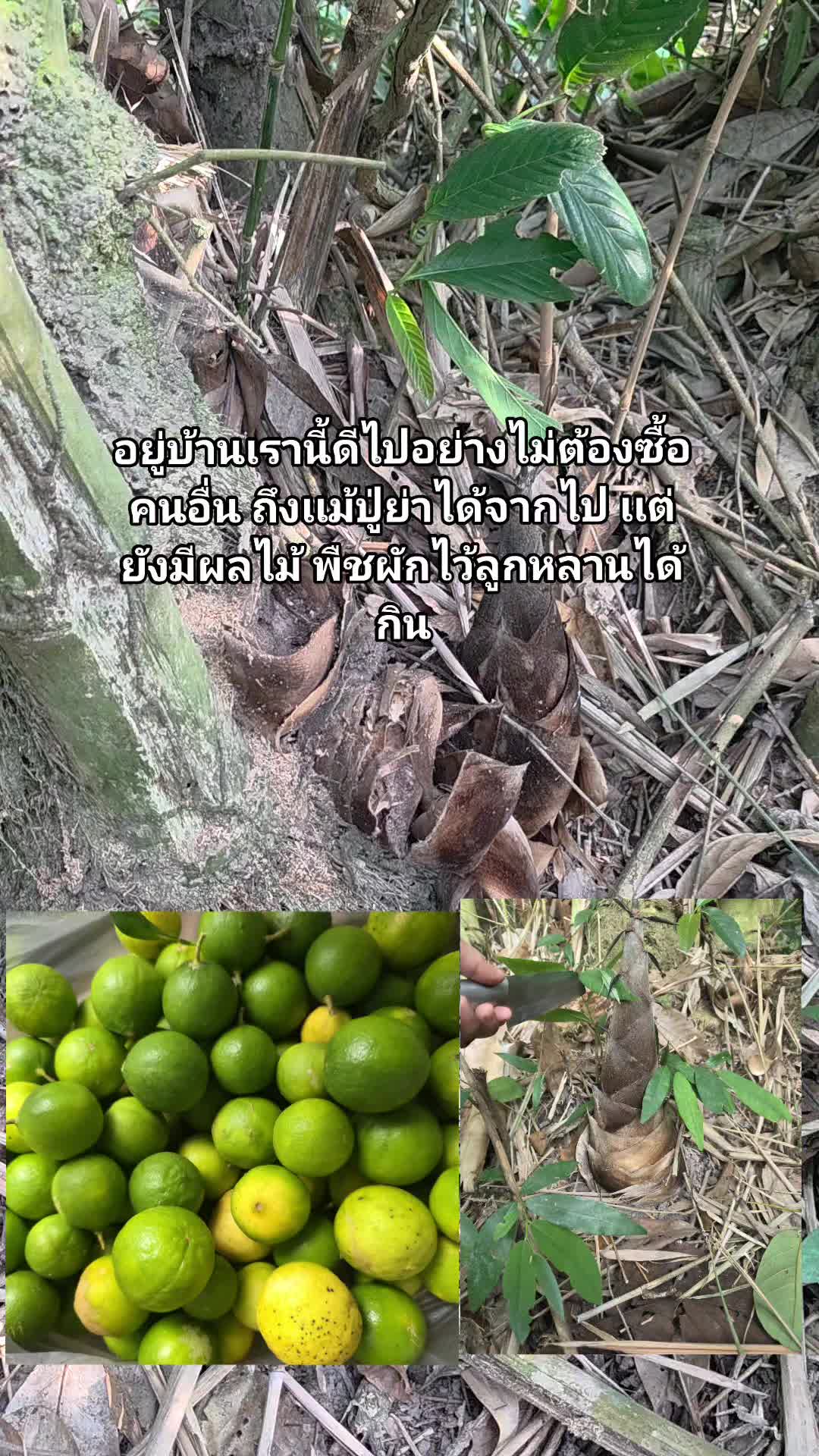 @🕊️🕊️nadeya🕊️🕊️