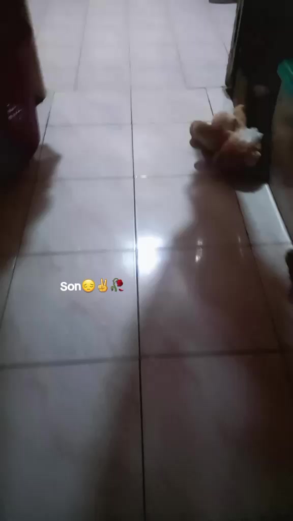 @purplealienmask&bull;́︿&bull;̀