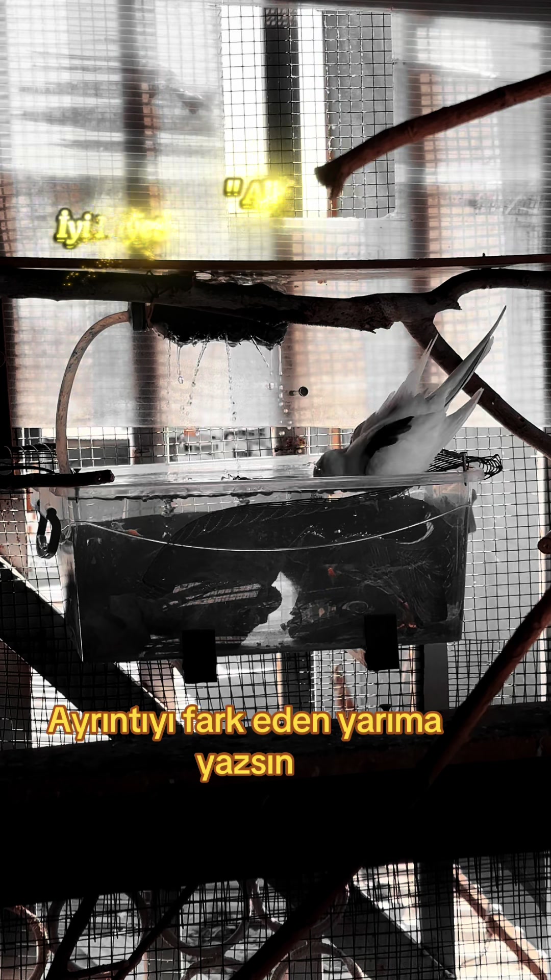 @Serdar Yıldız