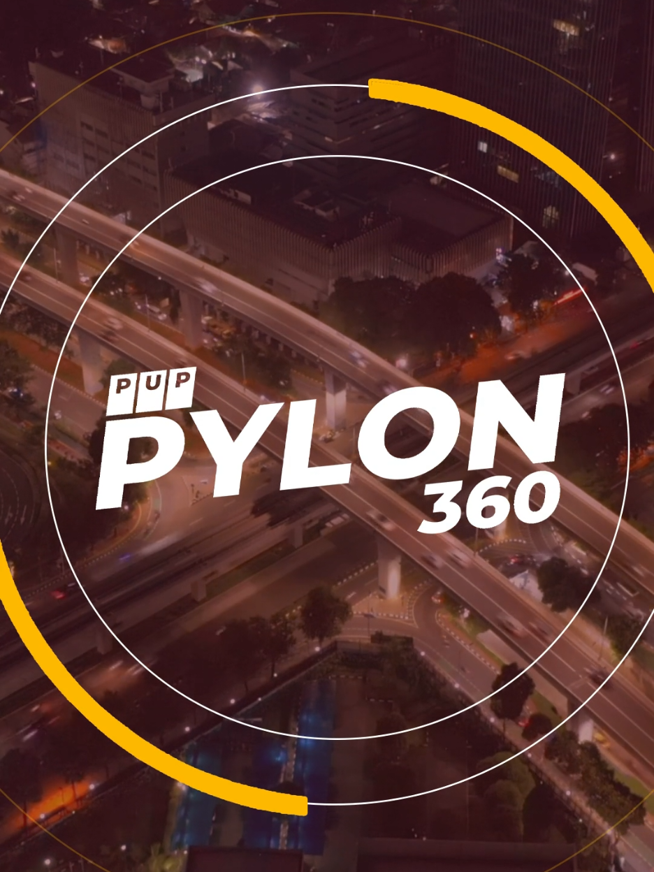 @PUP DZMC Pylon Radio