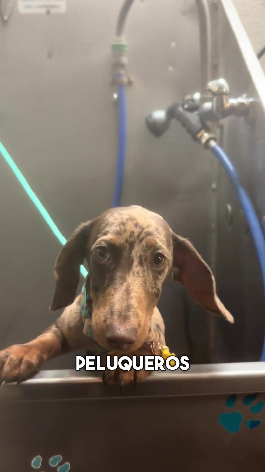 @Andy 🇲🇽