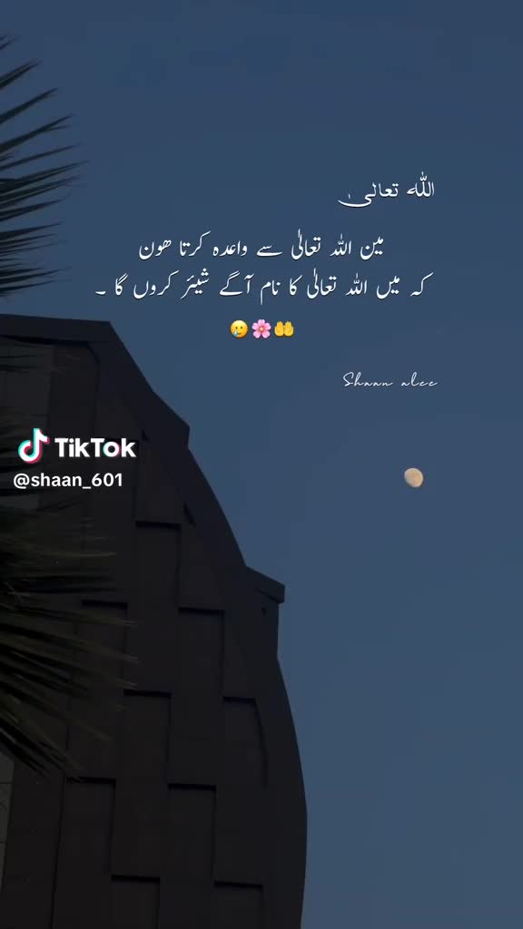 @Tariq