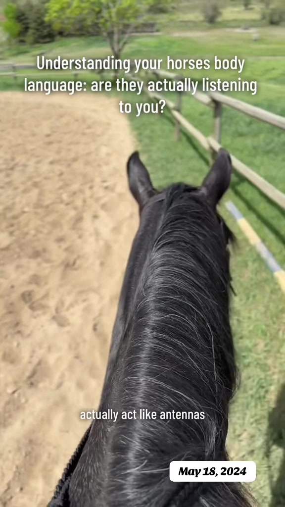 @Rudnik the Roan